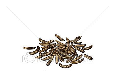pile-heap-of-dried-caraway-cumin-seeds-eps-vectors_csp52764039